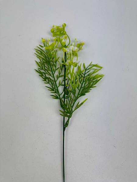 Gipsówka gałązka biało zielona