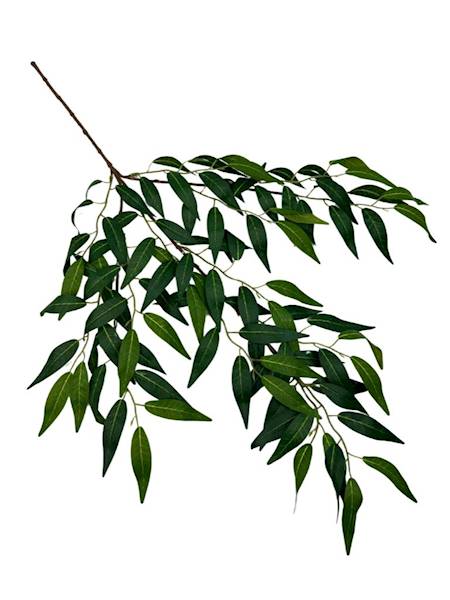 Ruskus gałązka 70 cm zielony