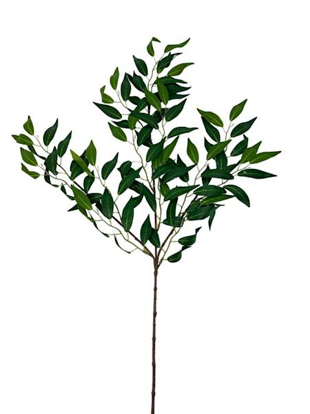 Ruskus gałązka 70 cm zielony