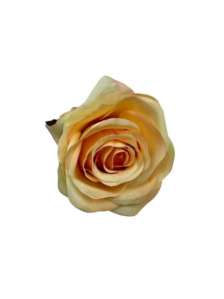 Róża główka 9 cm brzoskwiniowa