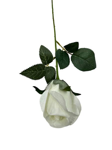 RÓŻA GAŁĄZKA 54 CM BIAŁA