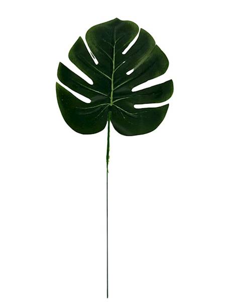 Liśc monstery 36 cm zielony