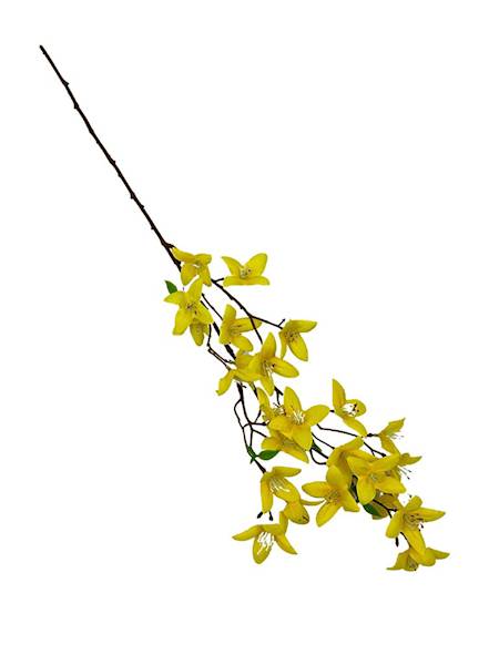 Forsycja gałązka 60 cm żółta