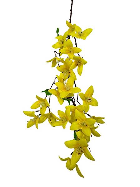Forsycja gałązka 60 cm żółta