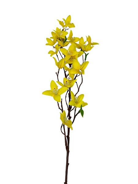 Forsycja gałązka 60 cm żółta