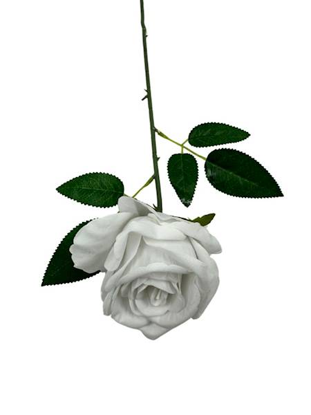 RÓŻA WELUROWA 60 CM BIAŁA