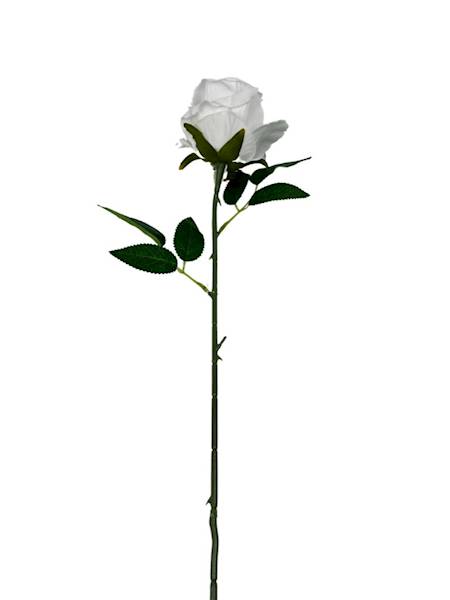 RÓŻA WELUROWA 60 CM BIAŁA