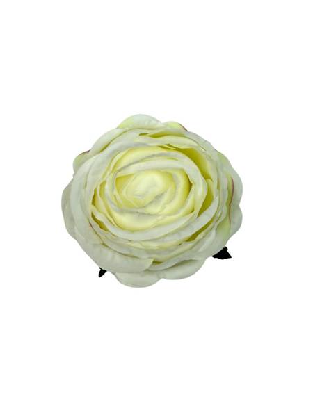 Róża główka 8 cm ecru