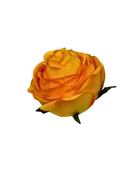 Róża główka 8 cm herbaciana