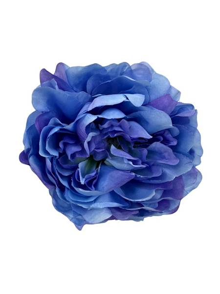 Piwonia główka 14 cm niebieska