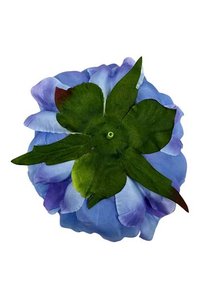 Piwonia główka 14 cm niebieska