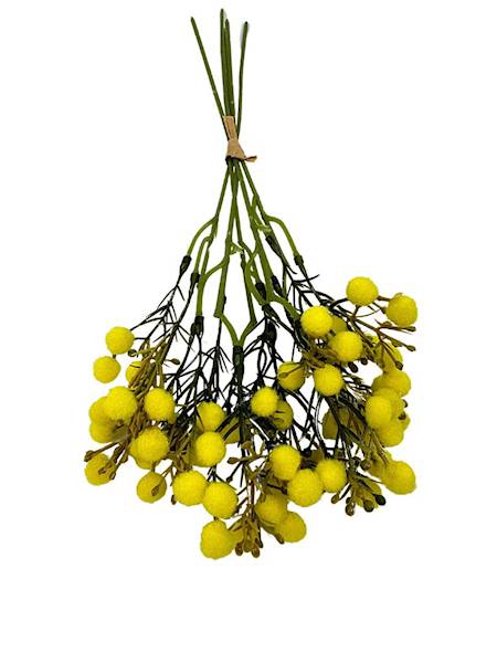 Mimoza 5 gałązek wiązka 30 cm