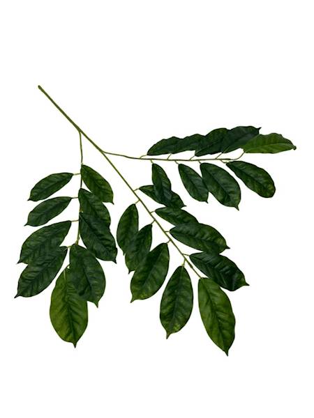 LIŚĆ SILIKONOWY JESION 59 CM