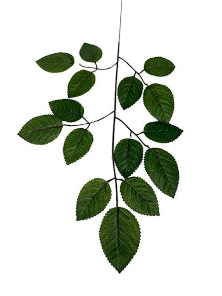 Liść róży 47 cm zielony