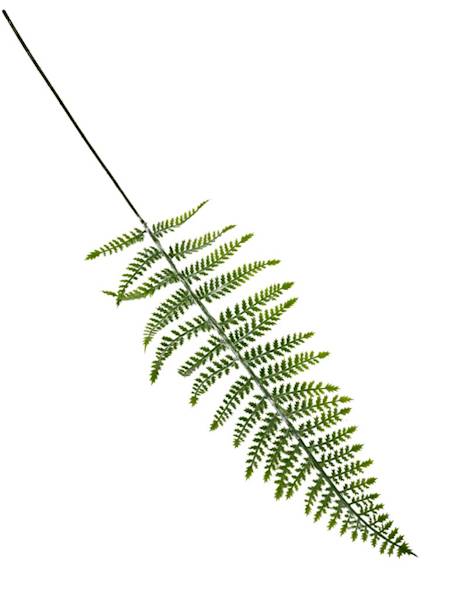 Liść paproci 90 cm