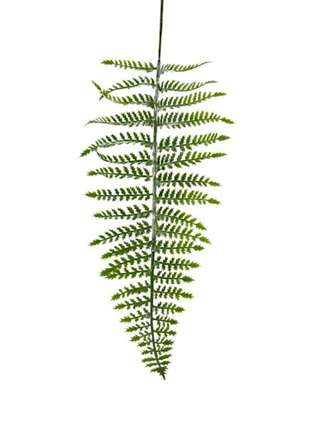 Liść paproci 90 cm