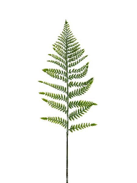 Liść paproci 90 cm