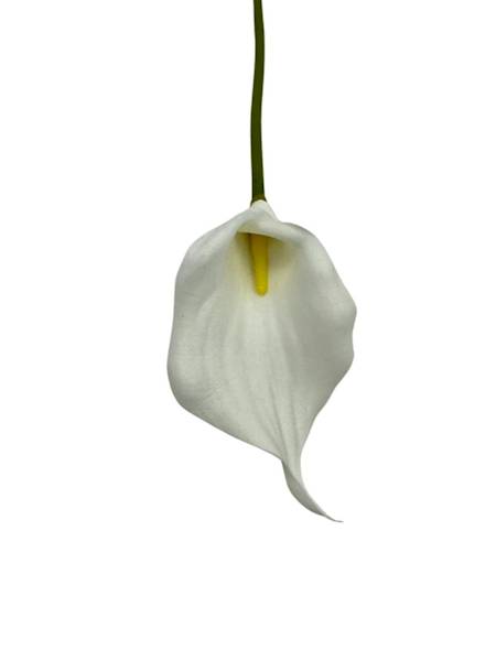 KALIA PIANKOWA BIAŁA 38 CM