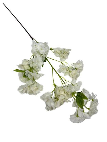 JABŁOŃ WIŚNIA GAŁĄZKA 100 CM BIAŁA