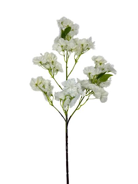 JABŁOŃ WIŚNIA GAŁĄZKA 100 CM BIAŁA