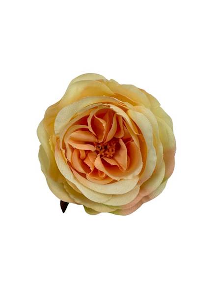 RÓŻA GŁÓWKA 7 CM BRZOSKWINIOWA