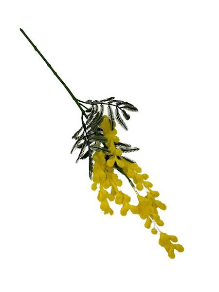 Mimoza gałązka 41 cm żółta
