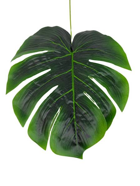 Liść monstera 55 cm 