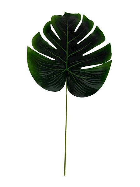 Liść monstera 55 cm 