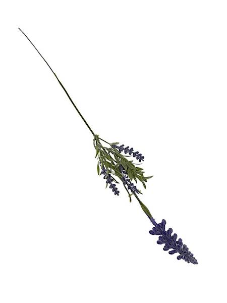 Lawenda gałązka 40 cm