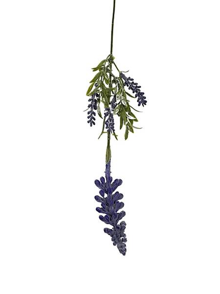 Lawenda gałązka 40 cm