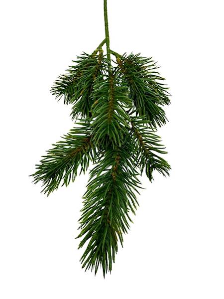 Jodła gałązka 40 cm zielona