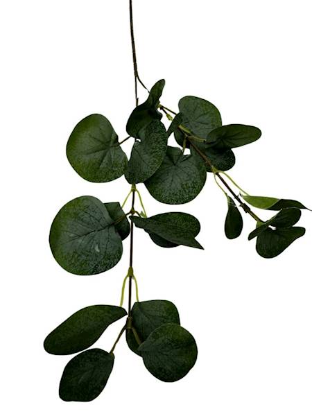 EUKALIPTUS GAŁĄZKA 62 CM ZIELONY