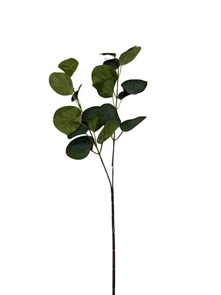 EUKALIPTUS GAŁĄZKA 62 CM ZIELONY