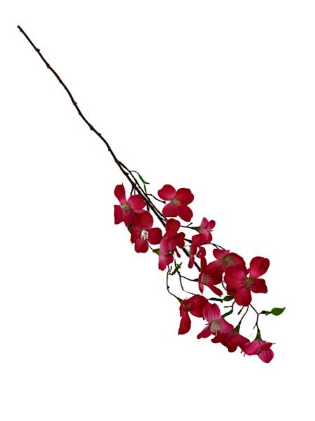 Jabłoń gałązka 60 cm ciemny róż