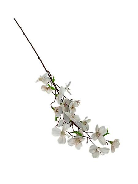 Jabłoń gałązka 60 cm brzoskwinia