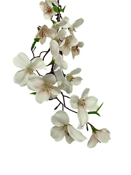 Jabłoń gałązka 60 cm brzoskwinia