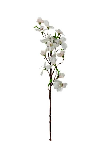 Jabłoń gałązka 60 cm brzoskwinia