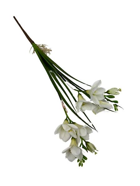 FREZJA GAŁĄZKA 58 CM BIAŁA