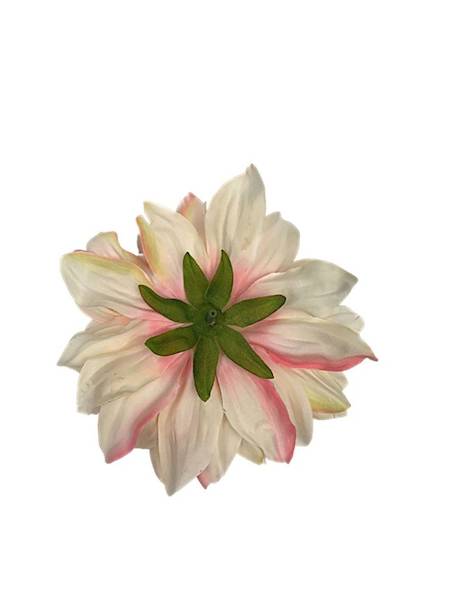 Dalia główka 15 cm jasno różowa z kremowym