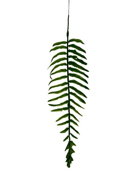 Paproć gałązka 36 cm zielona