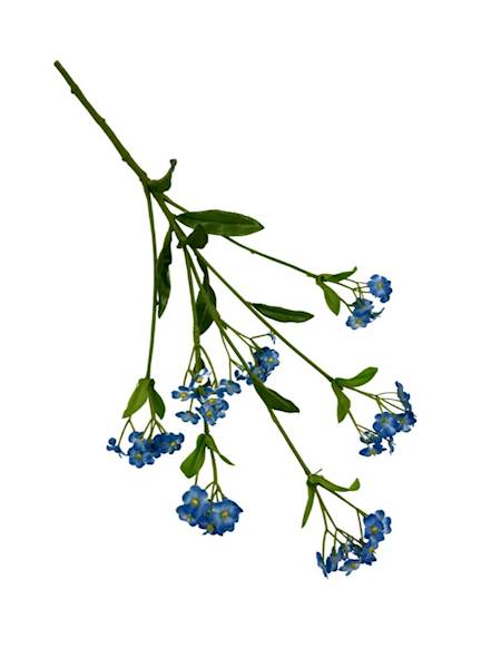 Niezapominajki gałązka 40 cm