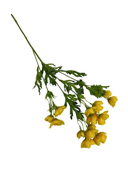 KACZENIEC GAŁĄZKA 46 CM