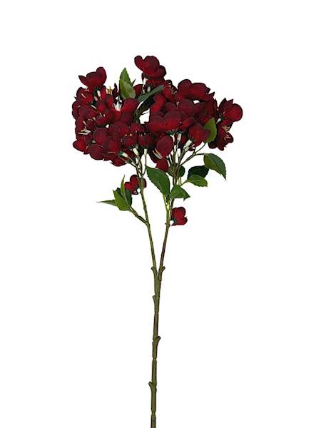 Jabłoń gałązka 58 cm bordowa