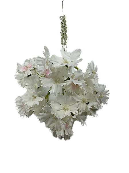 Goździk brodaty gałązka 65 cm biały