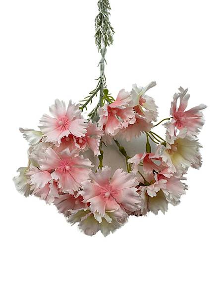 Goździk brodaty gałązka 65 cm pudrowy róż