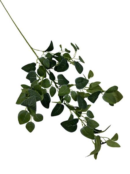 FITONIA GAŁĄZKA 100 CM