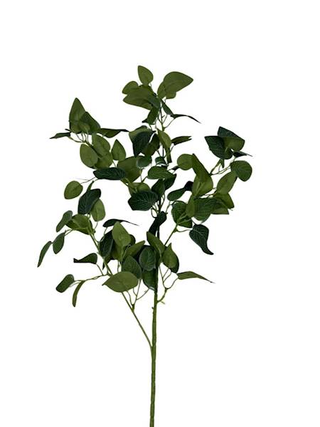 FITONIA GAŁĄZKA 100 CM