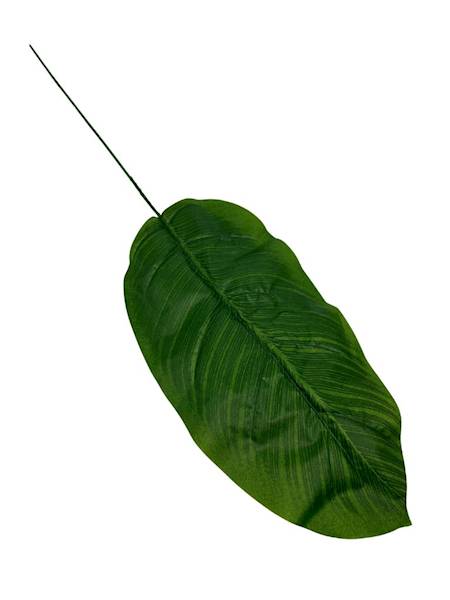 Liść bananowca 66 cm