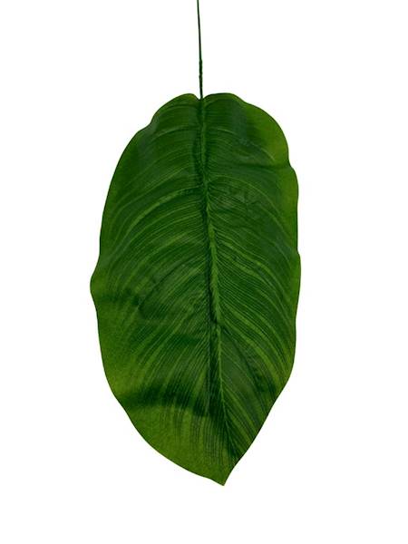 Liść bananowca 66 cm