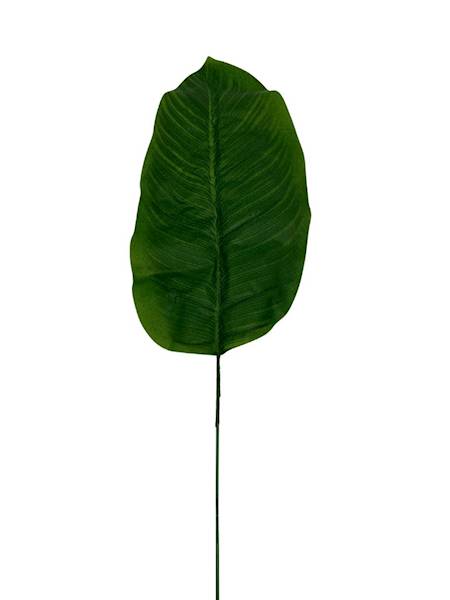 Liść bananowca 66 cm